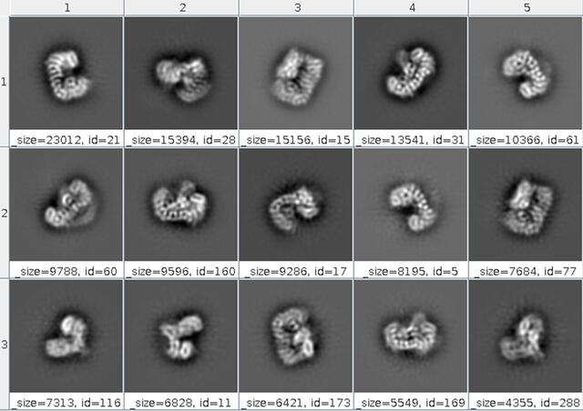 [Figure 8]