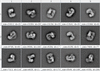 [Figure 8]