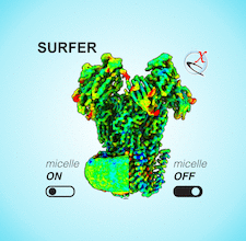 Highlighted illustration