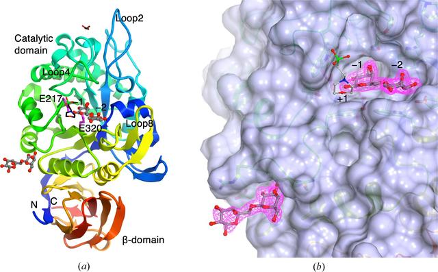 [Figure 1]