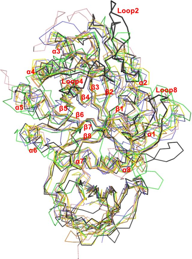 [Figure 2]