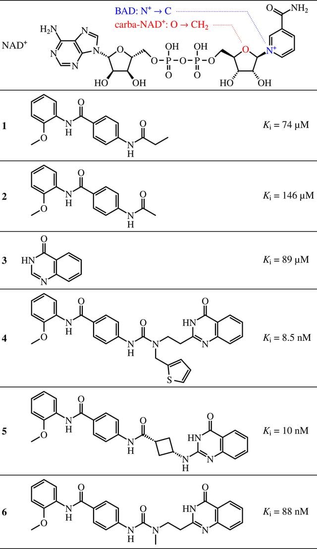 [Figure 2]