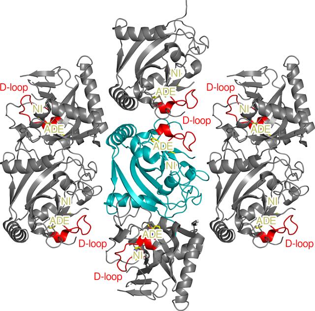 [Figure 3]