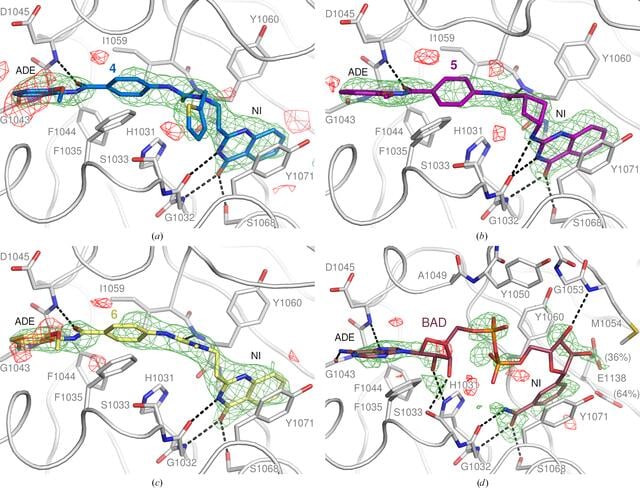 [Figure 4]