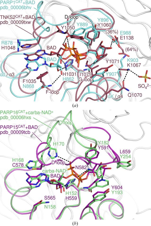 [Figure 5]