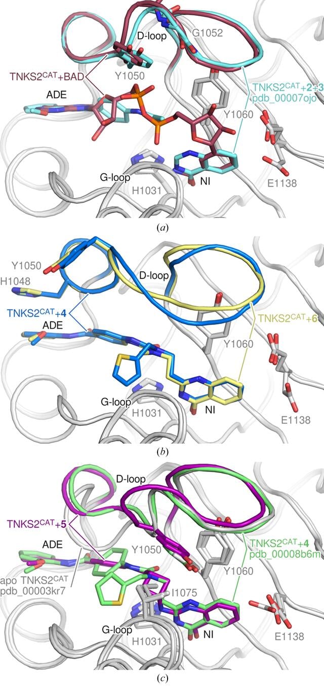 [Figure 6]