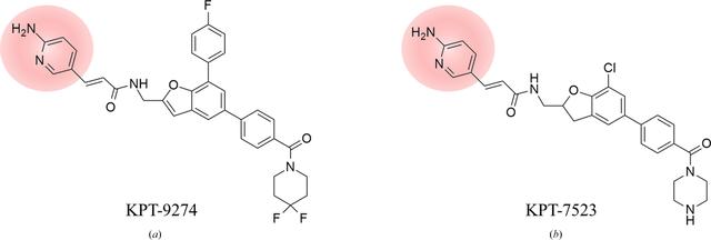 [Figure 1]