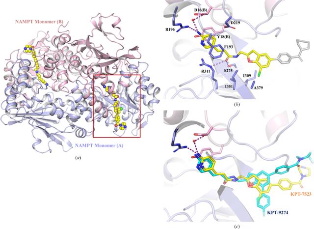 [Figure 4]
