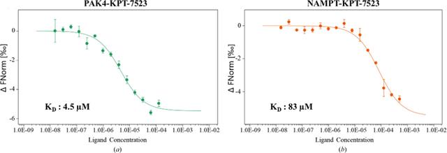 [Figure 5]