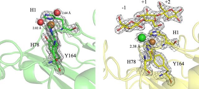 [Figure 1]