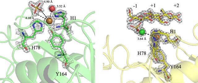 [Figure 2]