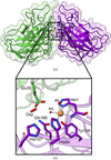 [Figure 1]