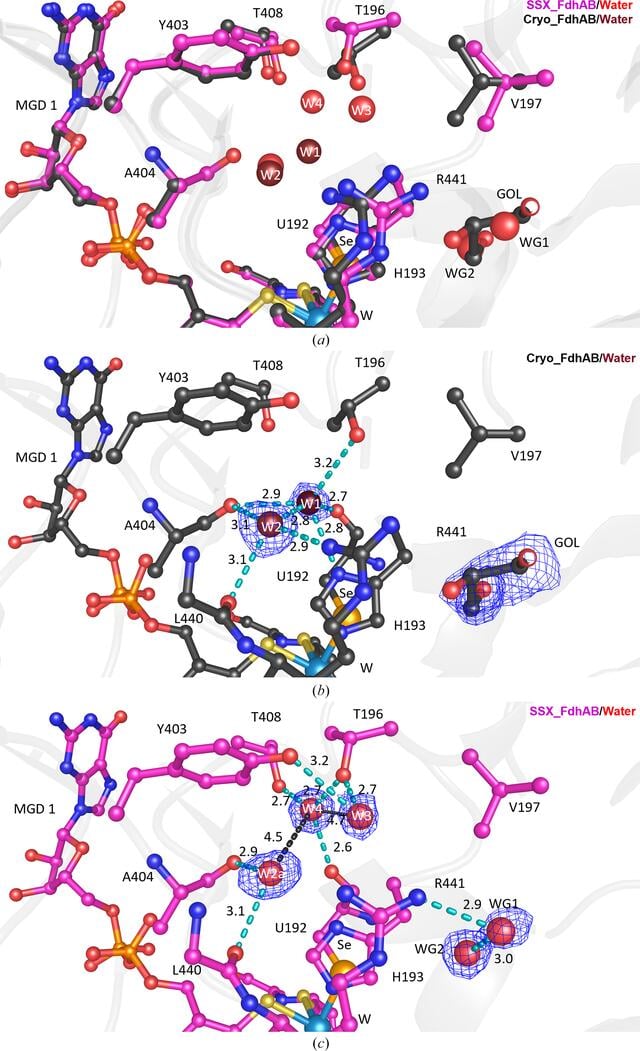 [Figure 2]
