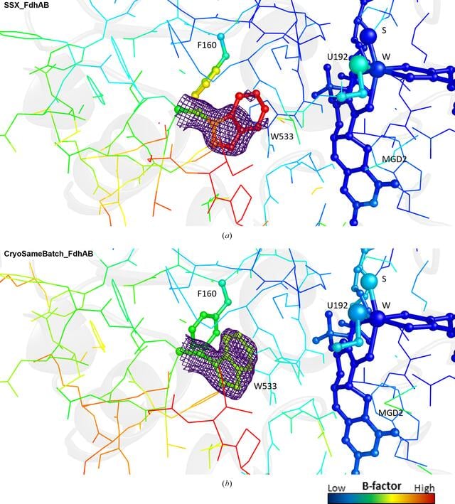 [Figure 4]