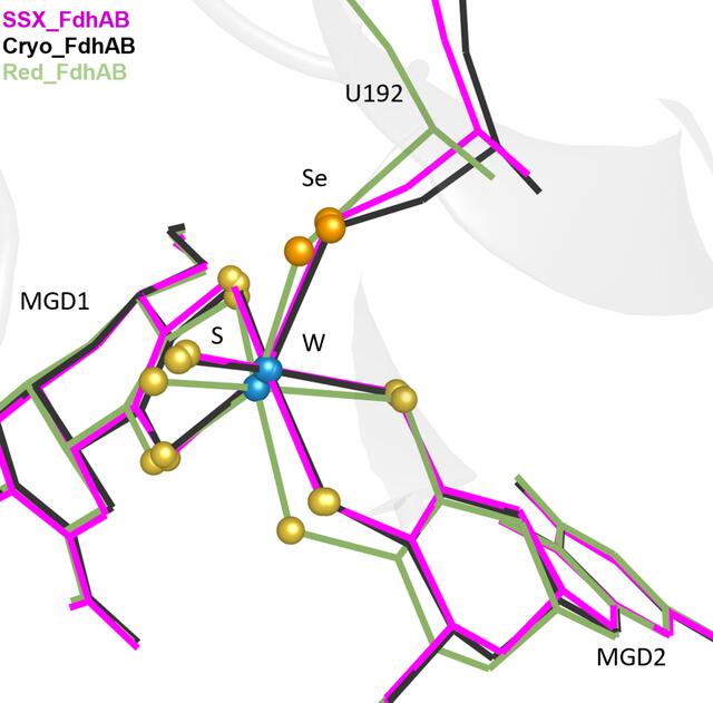 [Figure 5]