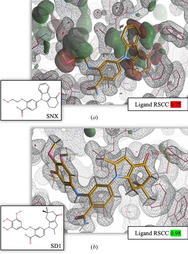 [Figure 6]