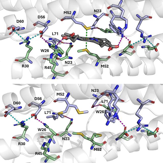 [Figure 4]