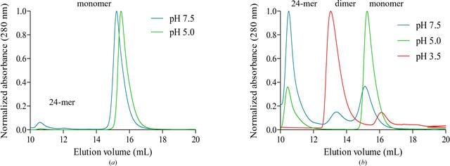 [Figure 5]