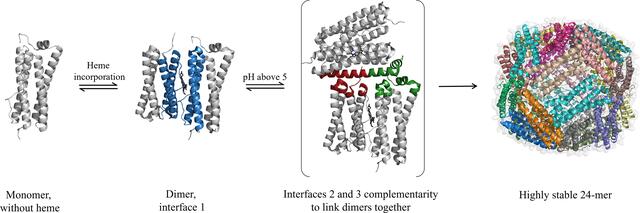 [Figure 7]