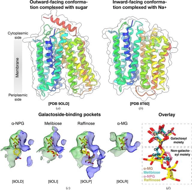 [Figure 1]