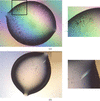 [Figure 2]