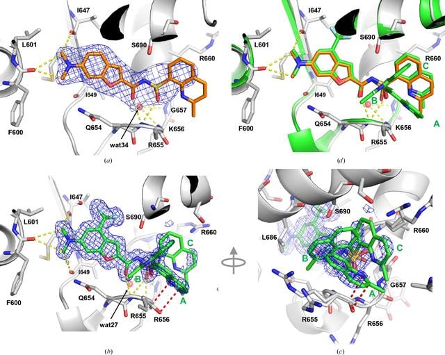 [Figure 5]