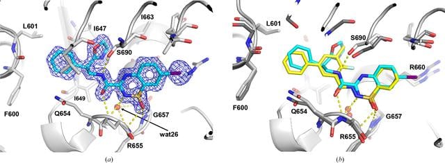 [Figure 6]