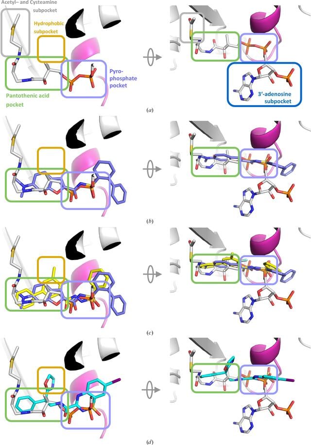 [Figure 7]