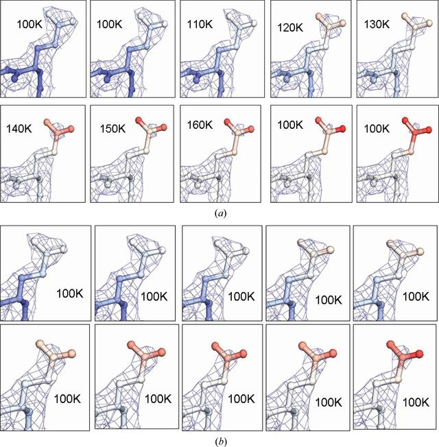 [Figure 10]