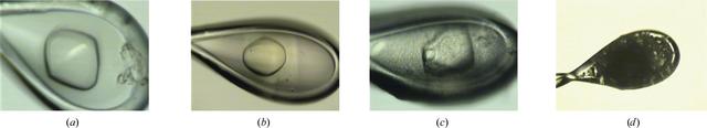 [Figure 6]