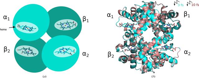 [Figure 1]