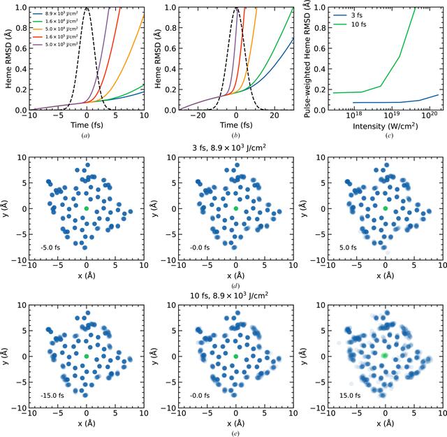 [Figure 5]