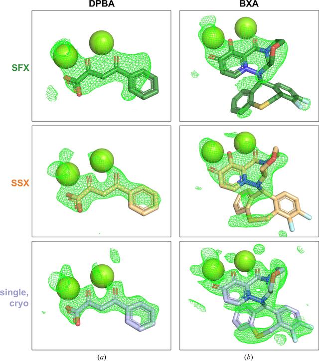 [Figure 5]