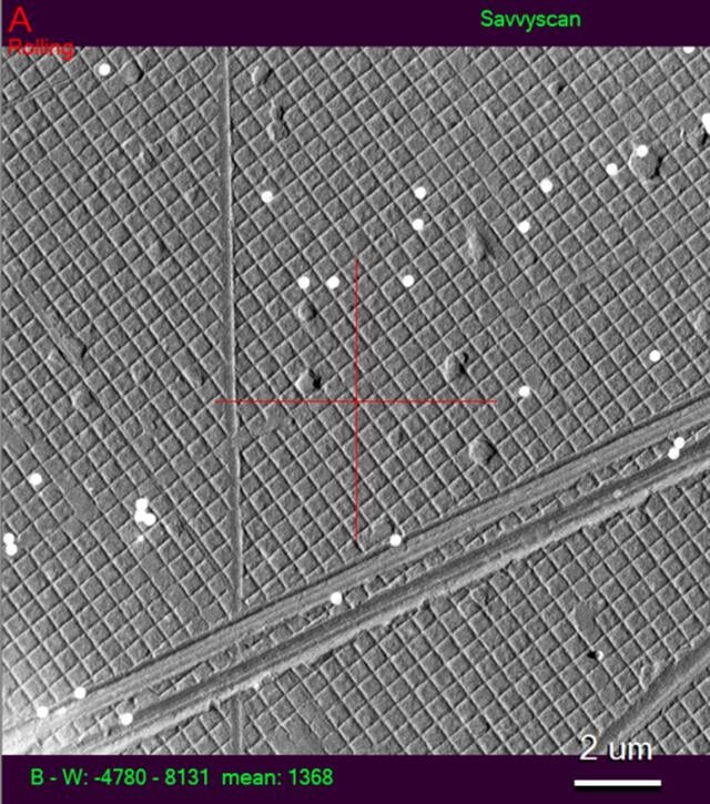 [Figure 3]