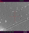[Figure 3]