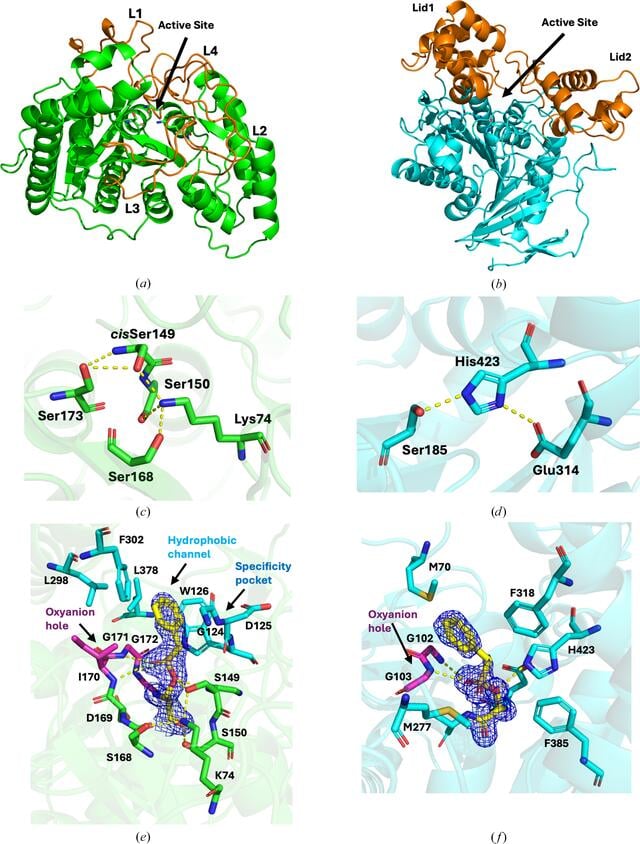 [Figure 2]