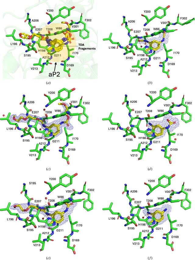 [Figure 5]