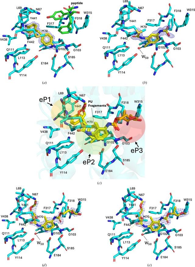[Figure 6]