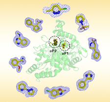 Highlighted illustration