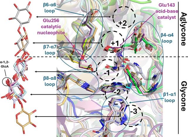 [Figure 5]