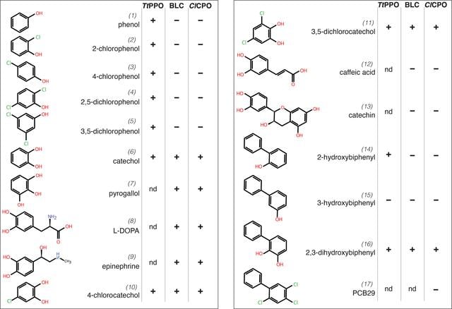 [Figure 2]