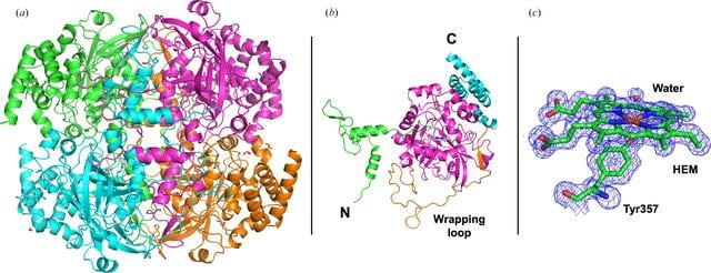 [Figure 3]