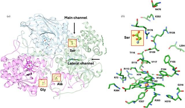 [Figure 4]