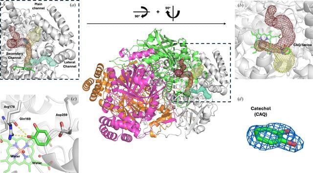 [Figure 5]