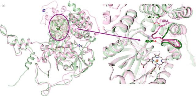 [Figure 6]