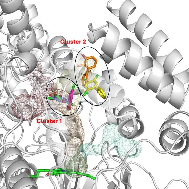[Figure 7]