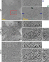 [Figure 2]