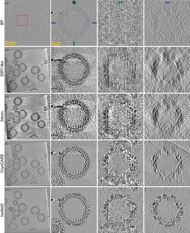 [Figure 3]