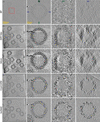 [Figure 3]