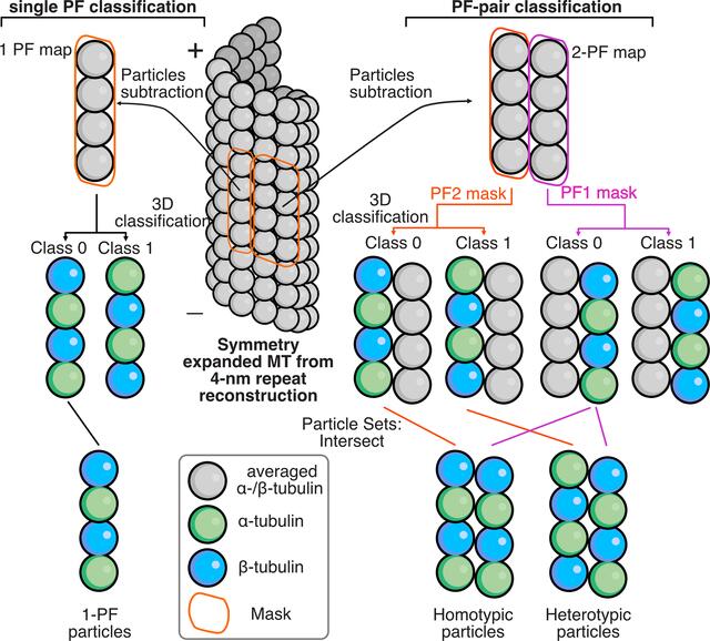 [Figure 3]